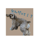 アルスタンプ②（個別スタンプ：14）