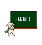 盲導犬支援スタンプ第二弾 旗振りサポ太（個別スタンプ：27）