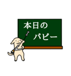盲導犬支援スタンプ第二弾 旗振りサポ太（個別スタンプ：29）