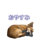 コロクル スタンプ（個別スタンプ：3）