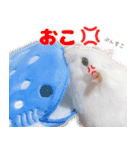 咲良家のハムハム（個別スタンプ：2）
