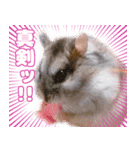 咲良家のハムハム（個別スタンプ：6）