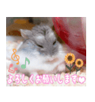 咲良家のハムハム（個別スタンプ：7）