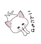 にゃんちょこりん(白猫)（個別スタンプ：1）