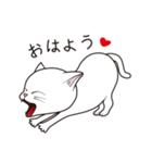 にゃんちょこりん(白猫)（個別スタンプ：2）