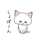 にゃんちょこりん(白猫)（個別スタンプ：4）