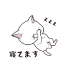 にゃんちょこりん(白猫)（個別スタンプ：7）