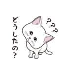 にゃんちょこりん(白猫)（個別スタンプ：9）