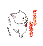 にゃんちょこりん(白猫)（個別スタンプ：13）