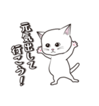にゃんちょこりん(白猫)（個別スタンプ：15）