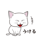 にゃんちょこりん(白猫)（個別スタンプ：19）