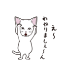 にゃんちょこりん(白猫)（個別スタンプ：24）