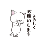 にゃんちょこりん(白猫)（個別スタンプ：25）