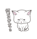 にゃんちょこりん(白猫)（個別スタンプ：27）