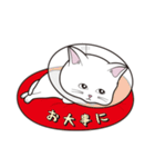 にゃんちょこりん(白猫)（個別スタンプ：30）