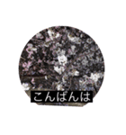 写真で「こんばんは」2 【修正版】（個別スタンプ：1）