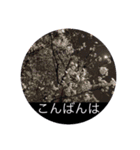 写真で「こんばんは」2 【修正版】（個別スタンプ：2）