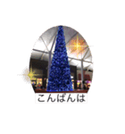 写真で「こんばんは」2 【修正版】（個別スタンプ：7）