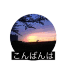 写真で「こんばんは」2 【修正版】（個別スタンプ：12）
