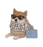 柴犬 Shiba 2（個別スタンプ：7）