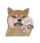 柴犬 Shiba 2（個別スタンプ：13）