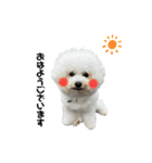 でーとともだち（個別スタンプ：1）