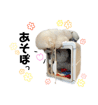 でーとともだち（個別スタンプ：8）