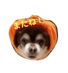 こてつの日常スタンプ（お仕事編）（個別スタンプ：21）