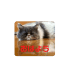 ベル＆アール（個別スタンプ：1）