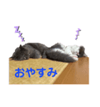 ベル＆アール（個別スタンプ：2）