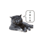 ベル＆アール（個別スタンプ：3）