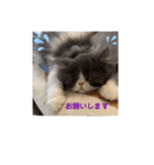 ベル＆アール（個別スタンプ：4）