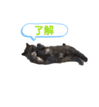 ベル＆アール（個別スタンプ：6）