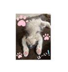 ベル＆アール（個別スタンプ：8）