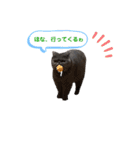 ベル＆アール（個別スタンプ：16）