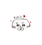 かわいい犬 えっちゃんイラスト（日常編）（個別スタンプ：8）