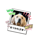 桃＆福＆金（個別スタンプ：2）