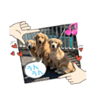 桃＆福＆金（個別スタンプ：6）