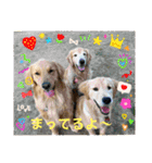 桃＆福＆金（個別スタンプ：11）
