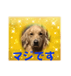 桃＆福＆金（個別スタンプ：14）