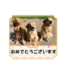 桃＆福＆金（個別スタンプ：17）