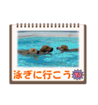 桃＆福＆金（個別スタンプ：23）