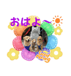 桃＆福＆金（個別スタンプ：25）