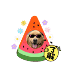 桃＆福＆金（個別スタンプ：34）