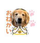 桃＆福＆金（個別スタンプ：36）