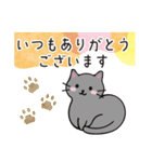 3ねこのやさしい気持ち【敬語】（個別スタンプ：14）