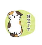 3ねこのやさしい気持ち【敬語】（個別スタンプ：30）