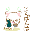 にゃんこ日和(ペルシャ猫)-toYvu-（個別スタンプ：3）