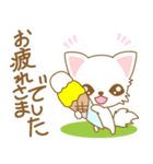 にゃんこ日和(ペルシャ猫)-toYvu-（個別スタンプ：6）