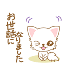 にゃんこ日和(ペルシャ猫)-toYvu-（個別スタンプ：12）